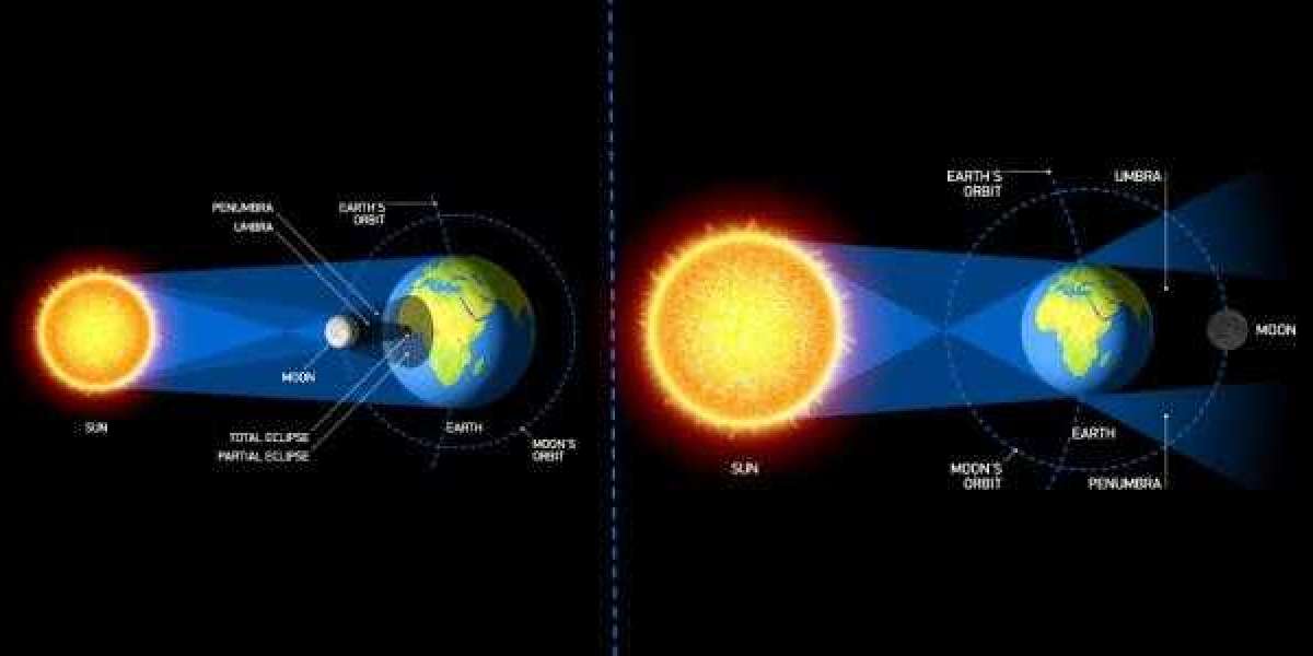 "From Hypothesis to Discovery: The Intricate Path of Scientific Exploration"