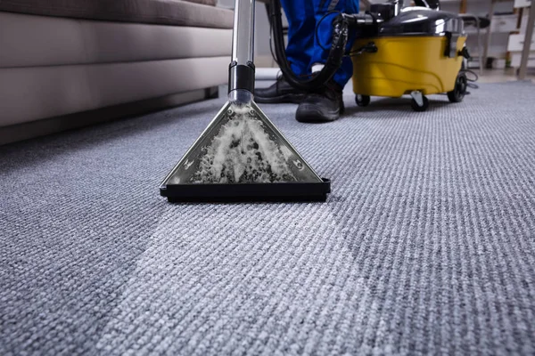 How Carpet Cleaning Services Prevents Damage