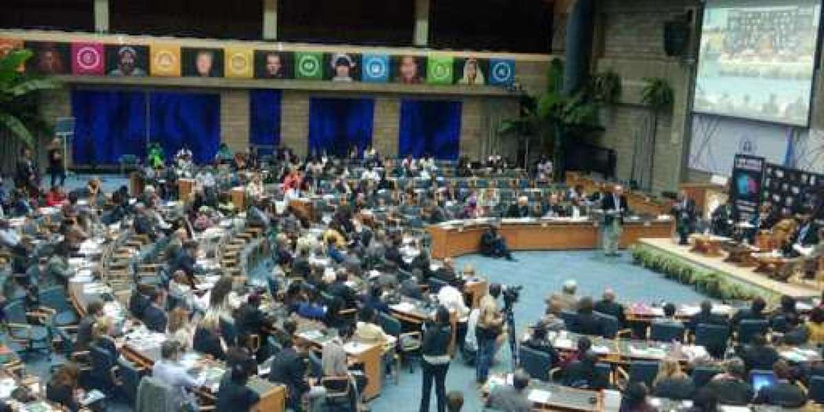UNITED NATION ENVIRONMENTAL ASSEMBLY