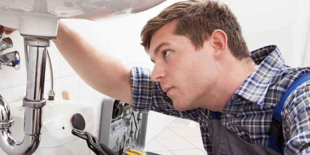 Plumbing Woes in North Shore: Tips for Choosing the Right Plumber