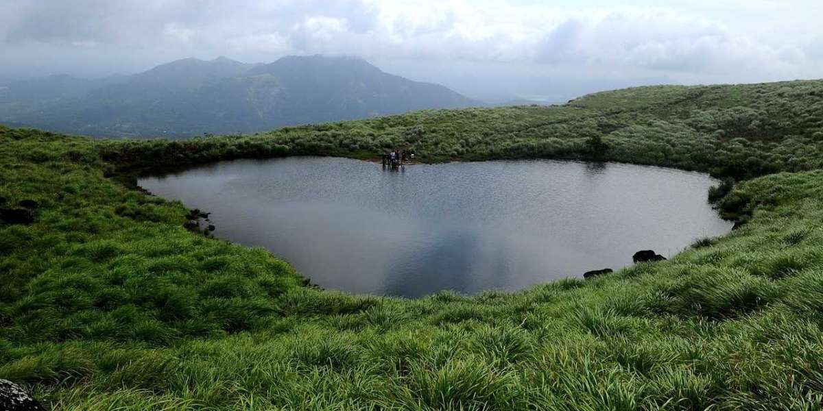 Exploring captivating tour packages amid the captivating charm of Wayanad