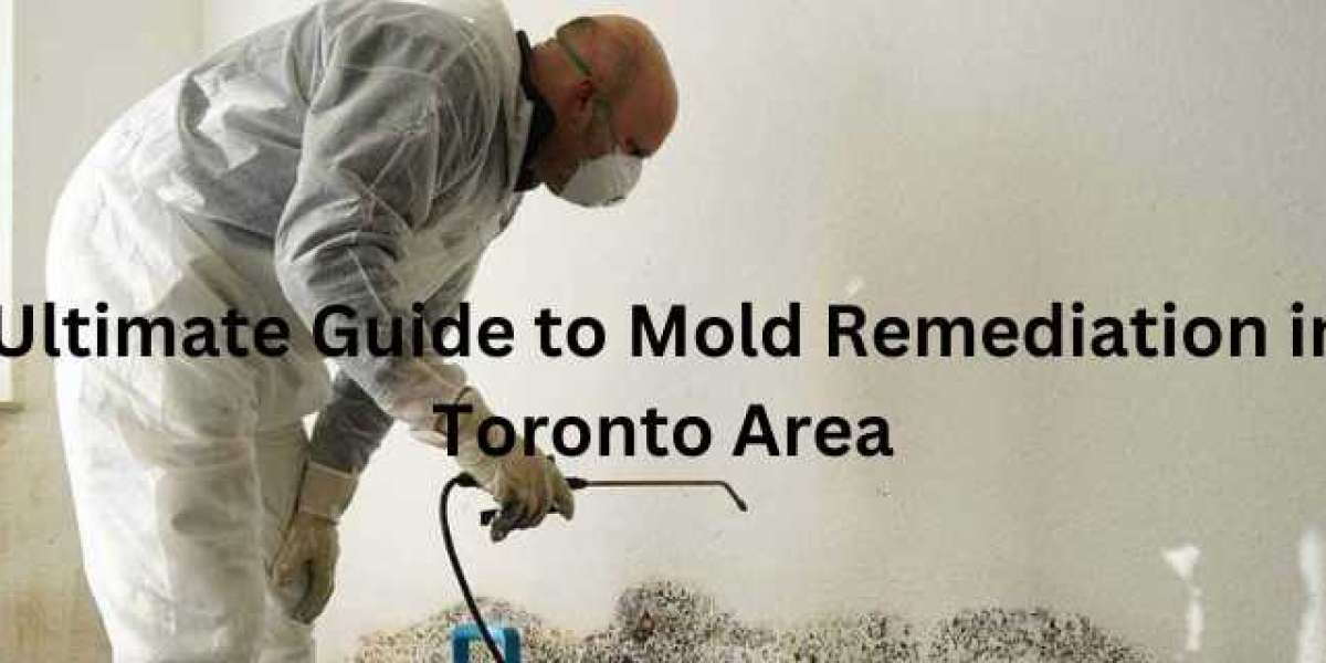 Protecting Your Home: Mold Remediation Tips for Toronto Residents