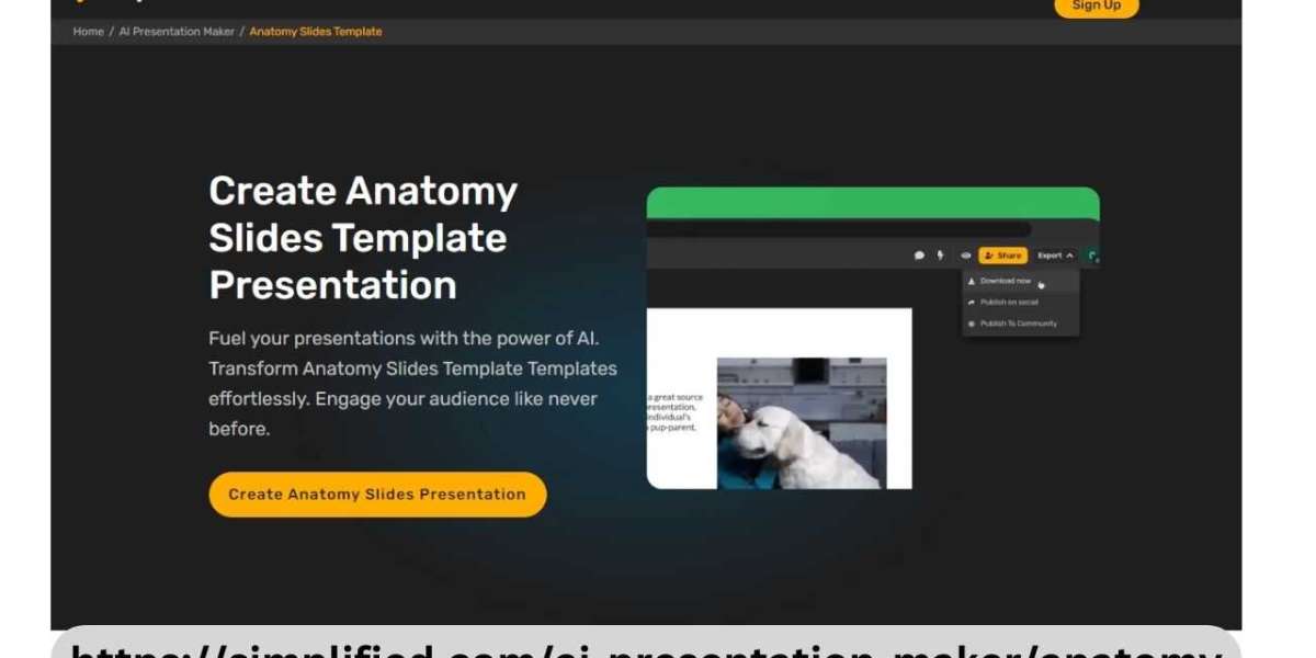 Anatomy Slides Template