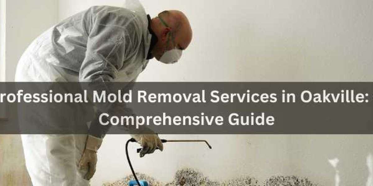 Professional Mold Removal Services in Oakville: A Comprehensive Guide