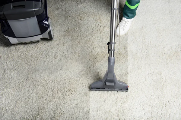 The Role of Carpet Cleaning Services in Damage Prevention
