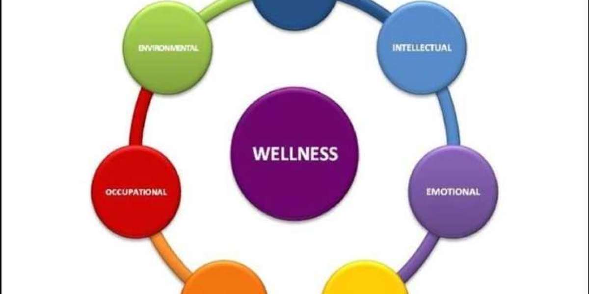 Holistic Health: Exploring Wellness Across 10 Vital Dimensions