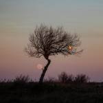 Evan Yost Profile Picture