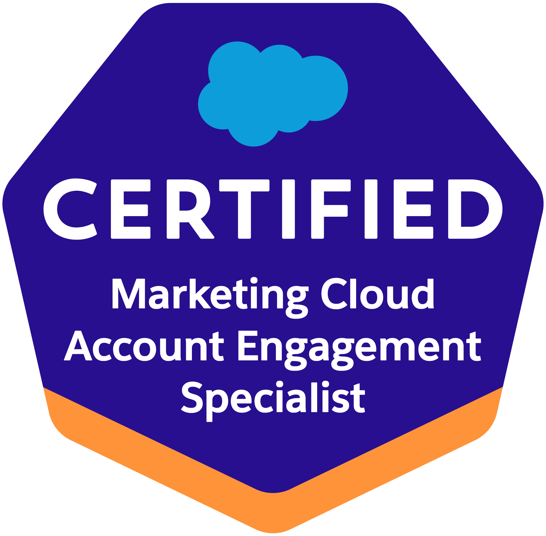 Salesforce Partner | Salesforce Consultants - Tech9logy Creators
