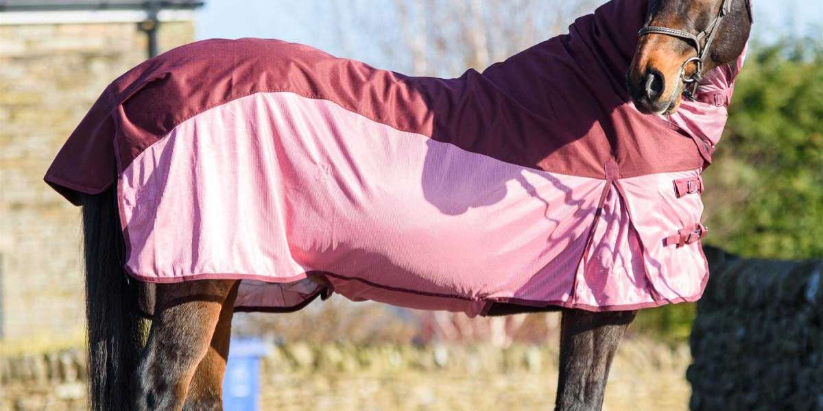 What Features Are Important to Consider When Choosing a Medium Weight Turnout Rug?