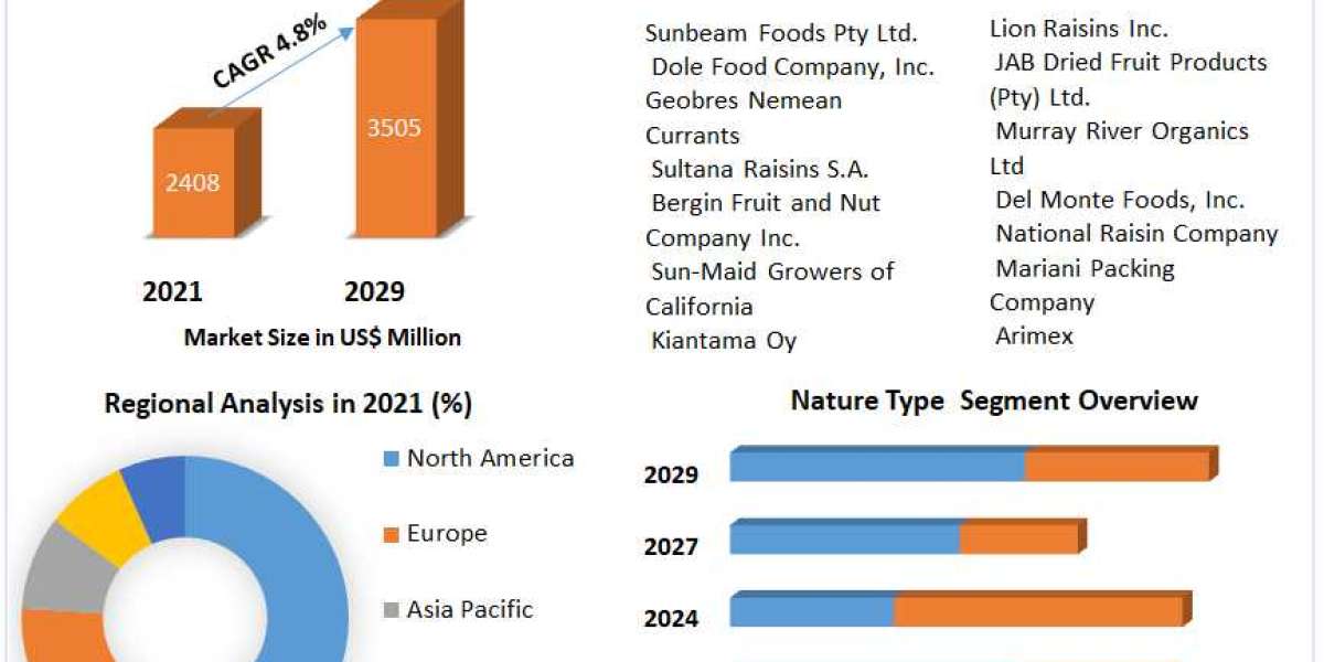 Raisins Market Forecast 2029: Assessing the 4.8% CAGR Landscape