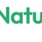 Natural Concepts Landscaping And Fencing Profile Picture