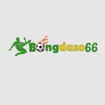 bóng đá số 66 Profile Picture