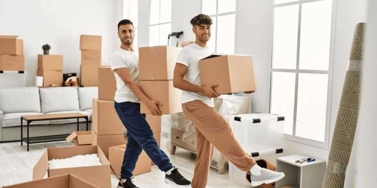 Expert Removal Van Services: Making Your Move Stress-Free