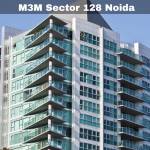MMSectorNoida Profile Picture