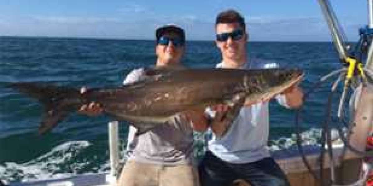 Explore the Abundance of Fish Species with St. Petersburg Fishing Charters