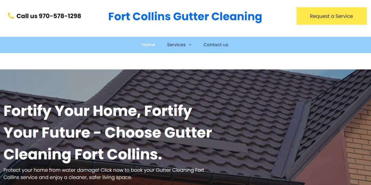 The Importance of Gutter Cleaning: Protecting Your Home and Health