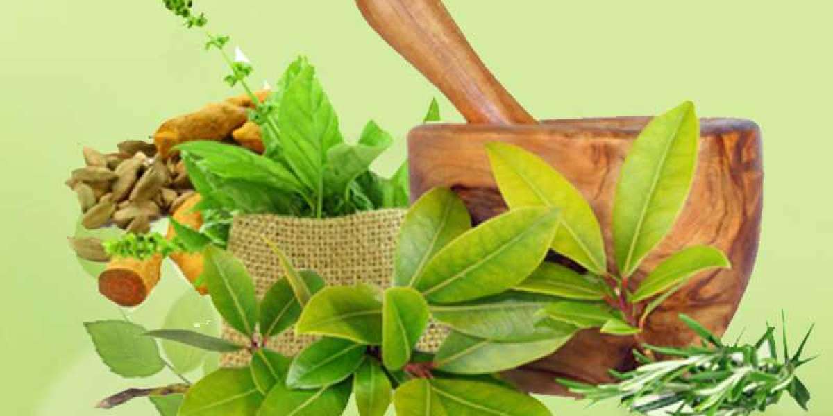 Ayurveda treatment packages