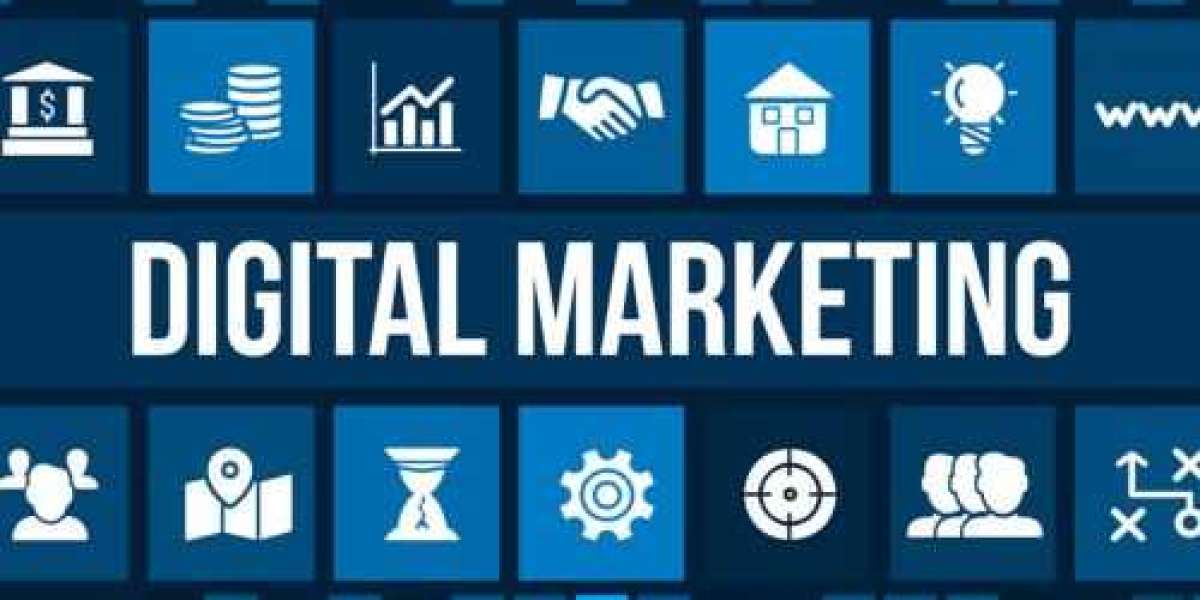 Comprehensive Guide to Choosing the Right Digital Marketing Agency in Noida