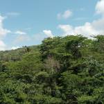 Rennish Mwenje Profile Picture