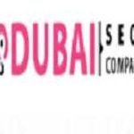 Dubai seocompany Profile Picture