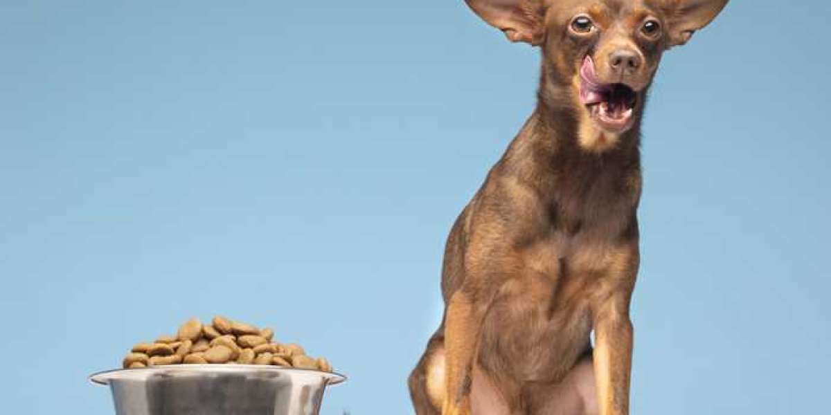 Tips For Picking The Best Food For Your Dog