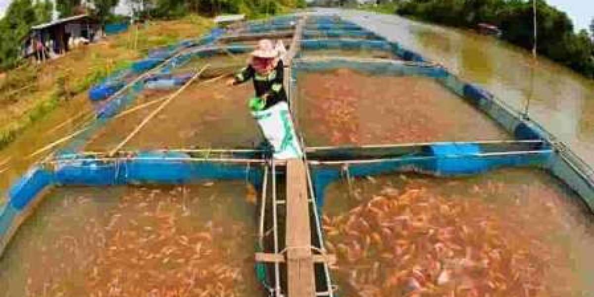 Fish Farming Manufacturing Plant Project Report 2024: Comprehensive Business Plan, Cost Analysis,