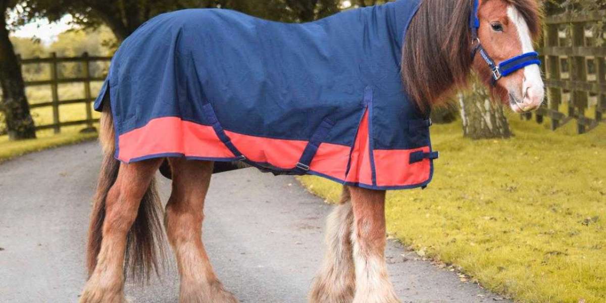 From Spring Showers to Summer Sun: Lightweight Turnout Rugs for Every Season