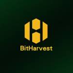 BITHARVEST Profile Picture