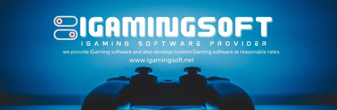 iGaming Software Provider Cover Image