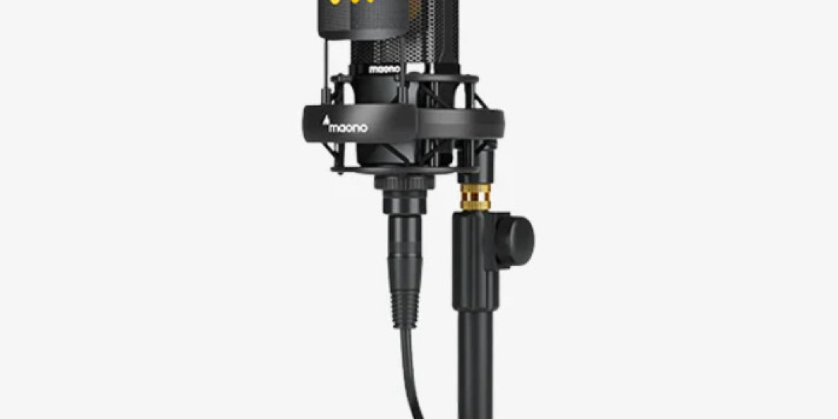 Unleashing Professional Audio Quality with XLR Recording Microphones