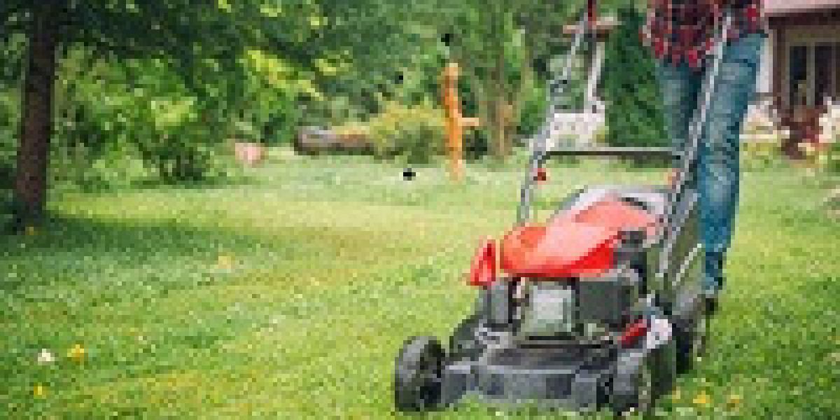 Lawn Care Services in Florida: Enhancing Your Outdoor Space