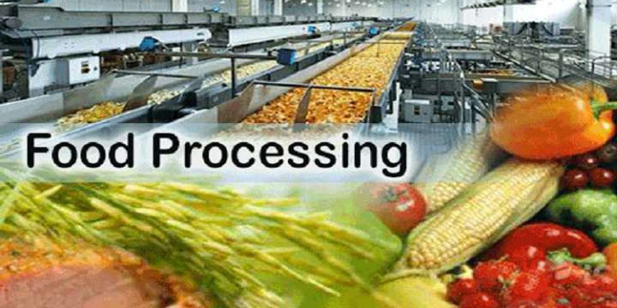 Food Processing Plant Project Report 2024: Comprehensive Business Plan, Raw Material Requirement, and Cost Analysis