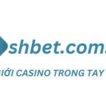 Shbet Profile Picture