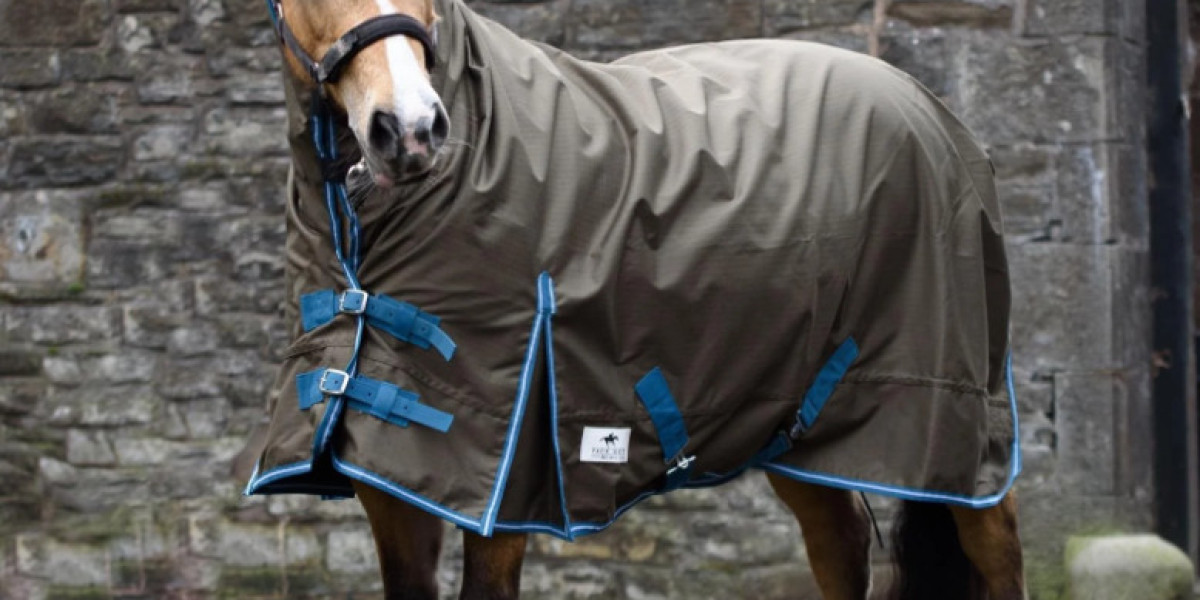 Keeping Your Horse Comfortable All Year Round: A Guide to Horse Rugs