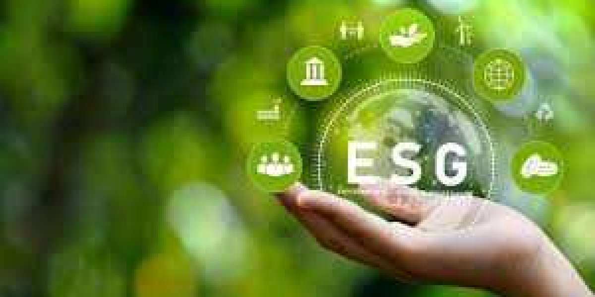 Unlocking the Power of ESG Advisory Data A Guide for Investors