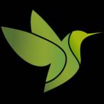 ICL Immigration Profile Picture