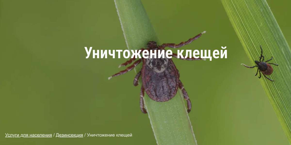 Эффективная борьба с клещами - требует комплексного подхода