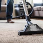 Harry Fried Profile Picture