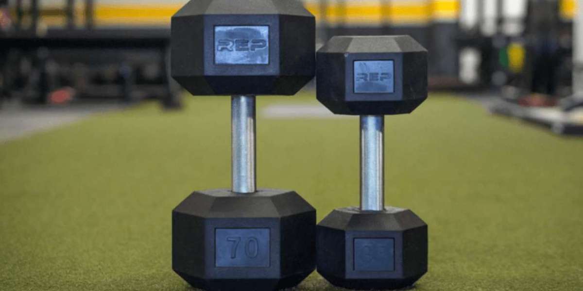 Rubber Dumbbells Market Size, Share, Growth Drivers, Opportunities, Trends, Competitive Analysis, and Demand Forecast To