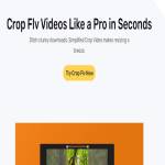 Crop FLV Video Profile Picture