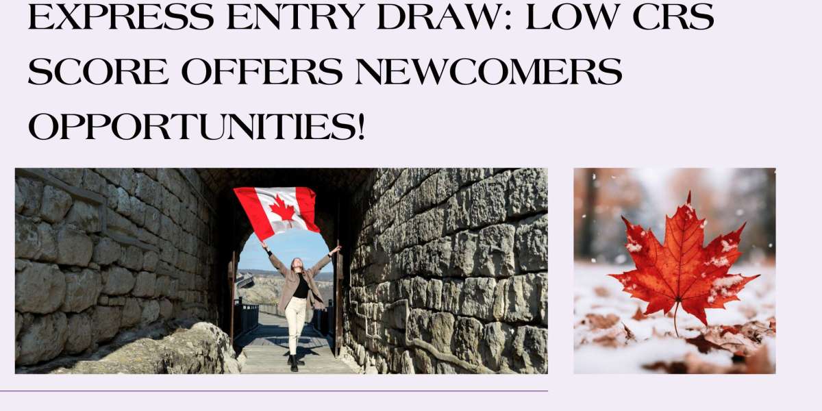 Express Entry Draw: Low CRS Score Offers Newcomers Opportunities!