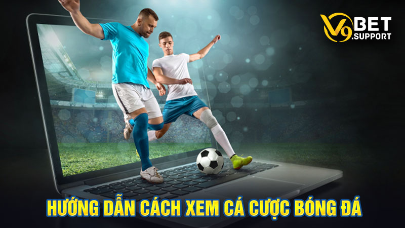 Hướng Dẫn Cách Xem Cá Cược Bóng Đá Chuẩn Xác 2024