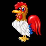 Manok Na Pula Profile Picture
