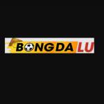 CEO Bongdalu Profile Picture