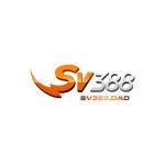SV388 Profile Picture