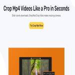 Crop Mp4 Video Profile Picture