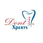 dent xperts Profile Picture