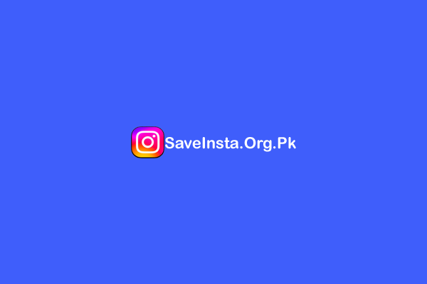 Instagram Video Download - Instagram Video Downloader - SaveInsta.Org.Pk