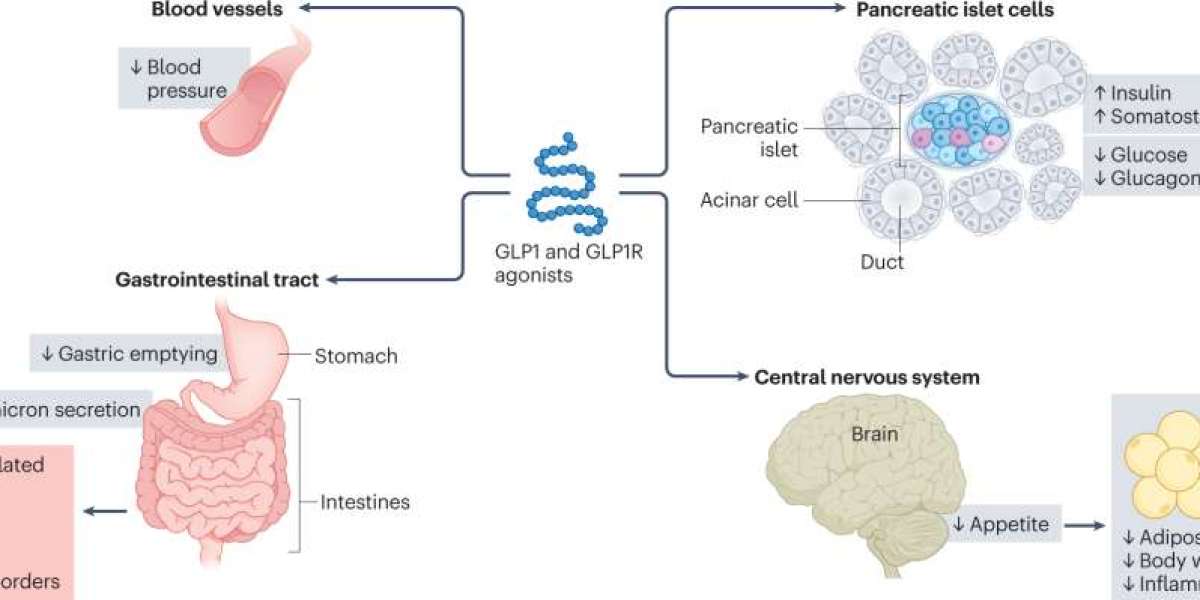 Effects of Glucagon-Like Peptide-1 Receptor Agonists on Diabetic Cardiomyopathy