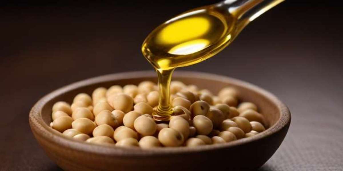 Soybean Oil Pricing Report, Trend, Chart, News, Demand, Historical and Forecast Data 2024